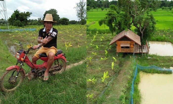 พาชม “ทุ่งนามือปราบ” ความสุขที่ไม่ต้องรอหลังเกษียณแบบพอเพียง