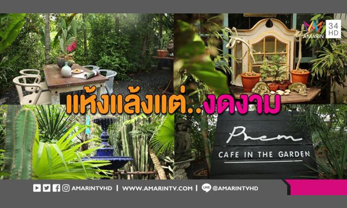 มันช่างฉูดฉาดซะเหลือเกิน! พาชม ‘สวนสไตล์เม็กซิกัน’ แห้งแล้งแต่สวยงาม