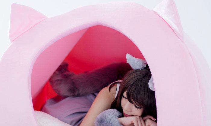 บ้านแมวสำหรับคนมาแล้วจ้า… น่านอนมากๆ ขอบอก!