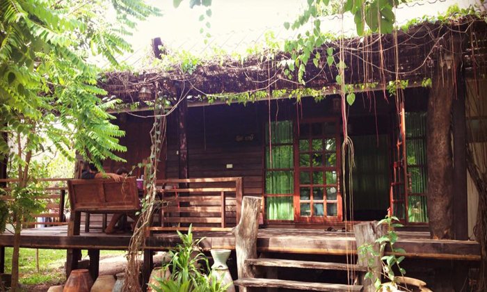 ไอเดียแบบบ้านไม้ชั้นเดียวยกพื้น ปกคลุมไปด้วยต้นม่านบาหลี “เรือนบาหลี”