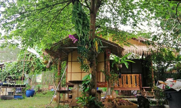 แบบกระท่อมกลางสวน “สวนเกษตรครึ่งไร่ Model” แหล่งเรียนรู้เศรษฐกิจพอเพียง