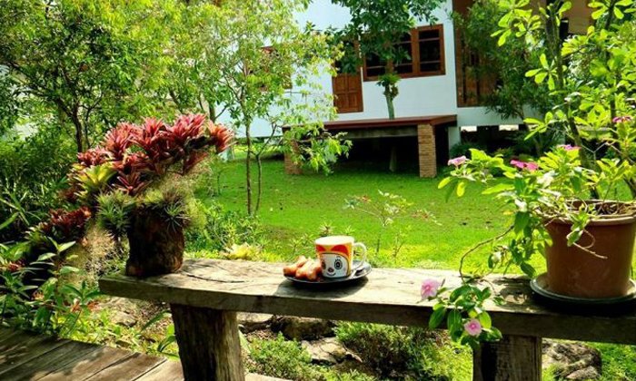 ไอเดียการจัดสวน พร้อมมุมกาแฟ จิบบรรยากาศคาเฟ่ในบ้าน By Prom Duangkai