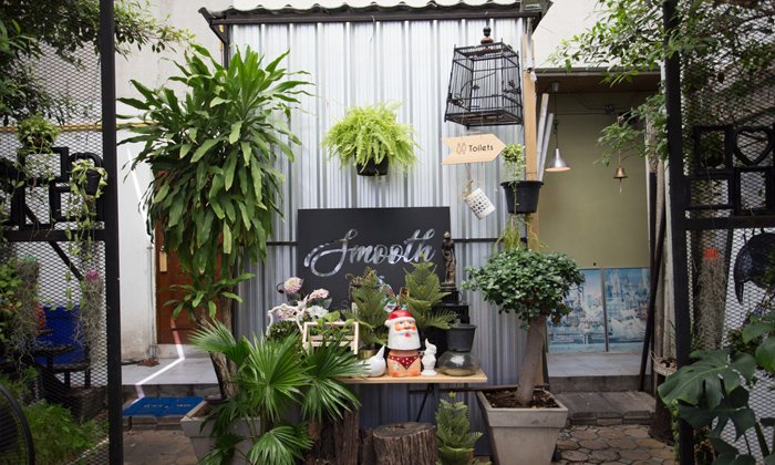 จัดสวนสไตล์คนเมือง เพิ่มโอโซนแบบง่ายๆ