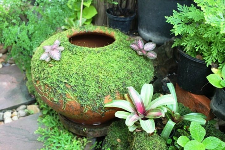 จัดสวนให้สวยเริ่ดด้วยกฏเหล็กที่ไม่ควรมองข้าม!