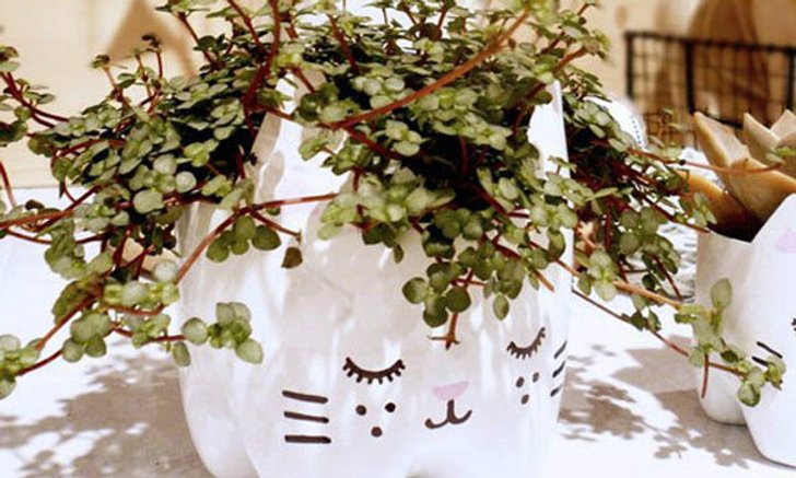DIY กระถางต้นไม้หน้าแมวจากขวดน้ำอัดลม