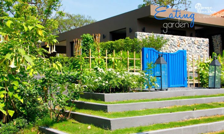 Eating Garden สวน(ผัก)กินได้