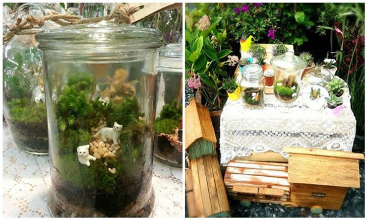Terrarium ยกสวนสวยมาไว้ในขวดแก้ว