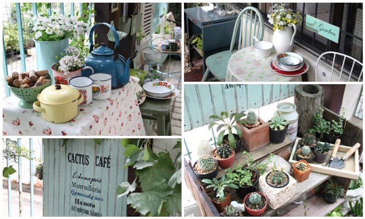 สวนเล็ก ๆ ริมรั้ว ตอน แบ่งปันเรื่องซน ๆ ในสวน และอวดสวนโซนใหม่....Cactus Cafe