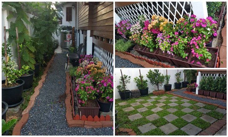 จัดสวนข้างบ้าน..กับบ้านอายุ 30 ปี..ใช้เวลาหลังเลิกงานวันละ 1-2 ชม.