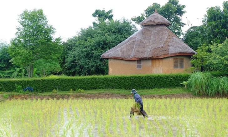 ไอเดียสร้างบ้านดิน บ้านเย็น ติดท้องทุ่งนา