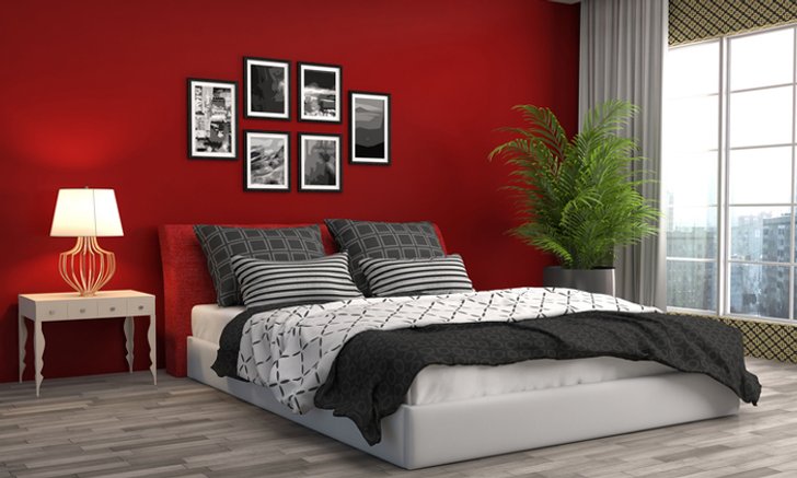 7 เฉดสีโดนใจ แต่งบ้านได้ทุกวันไม่มีเบื่อ