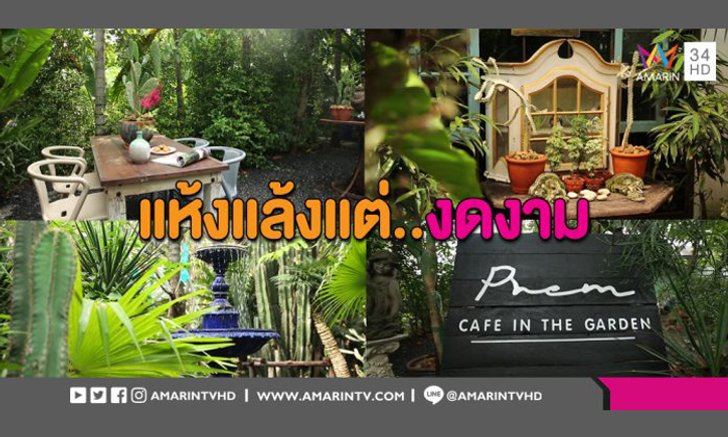มันช่างฉูดฉาดซะเหลือเกิน! พาชม ‘สวนสไตล์เม็กซิกัน’ แห้งแล้งแต่สวยงาม