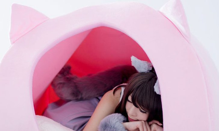 บ้านแมวสำหรับคนมาแล้วจ้า… น่านอนมากๆ ขอบอก!