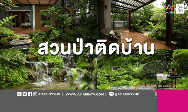 ว้าวหนักมาก! สวนป่าเขียวชะอุ่ม น้ำตกชุ่มชื่น บนพื้นที่ 100 ตารางเมตร