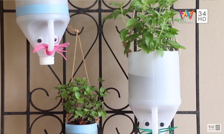 DIY Tree Bottle เปลี่ยนแกลลอนเก่า เป็นกระถางต้นไม้