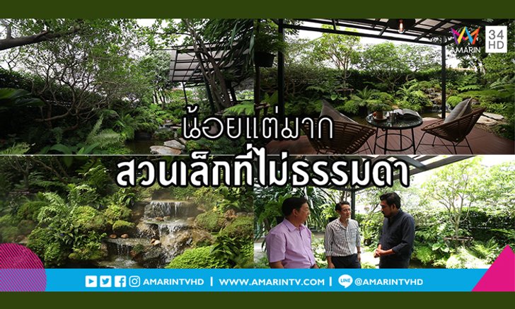 ใครว่าบ้านที่มีพื้นที่ขนาดไม่ใหญ่ จะทำสวนป่าบ้างไม่ได้… “น้อยแต่มาก” สวนเล็กแต่ความสวยงามไม่เล็กเลย