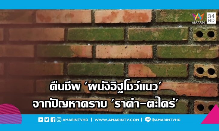 คืนชีพ "ผนังอิฐโชว์แนว" จากปัญหาคราบ "ราดำ-ตะไคร่"ให้กลับมาสวยเหมือนใหม่