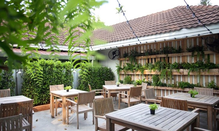 Green Tree ทำทุกพื้นที่ให้เป็นสีเขียว