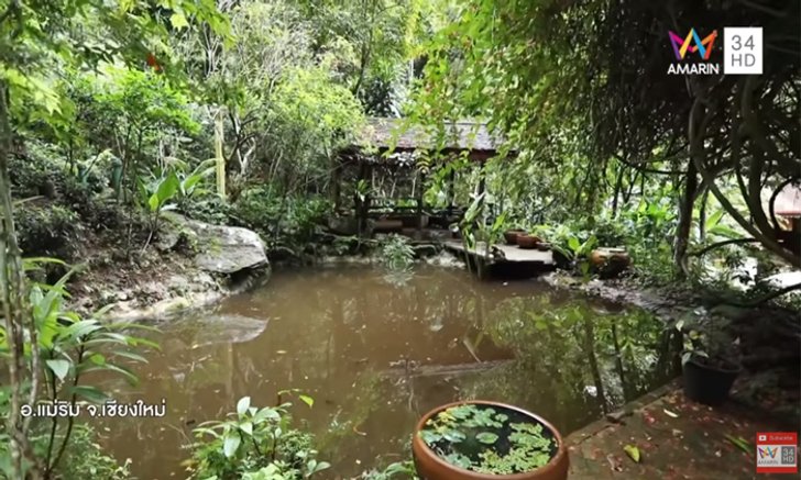 ไอเดียบ้านกลางป่าแสนอบอุ่น! พาชมบ้าน คุณรงค์ วงษ์สวรรค์ พญาอินทรีแห่งสวนอักษร