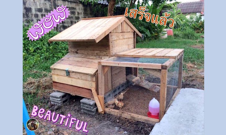 แชร์ไอเดีย “สร้างบ้านเล้าไก่ในสวนหลังบ้าน” งานนี้ทำเองไม่ง้อช่าง ใช้งบประมาณเพียง 787 บาทถ้วน