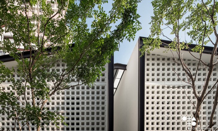 แชร์ประสบการณ์ “สร้างบ้านแฝดให้คุณปู่” โดยสถาปนิกมือใหม่ในดีไซน์เรียบง่าย รายล้อมด้วยสวนสีเขียว