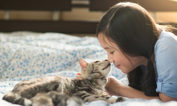 7 เคล็ดลับดูแลบ้านให้สะอาดง่าย ๆ สำหรับคนเลี้ยงหมา-แมว