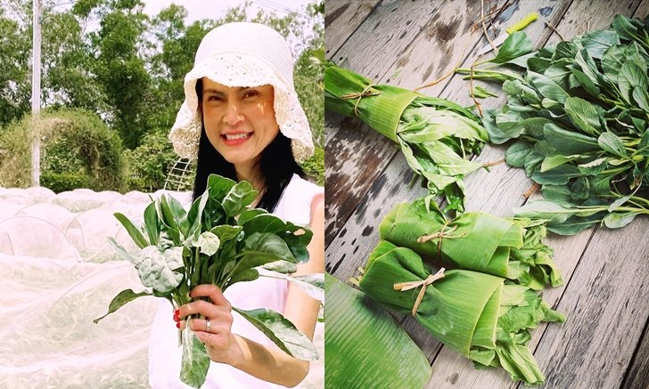 แม่ลุยเอง! “ปิ่น เก็จมณี” ลงสวนเก็บผัก ทำอาหารเพื่อสุขภาพทานเอง