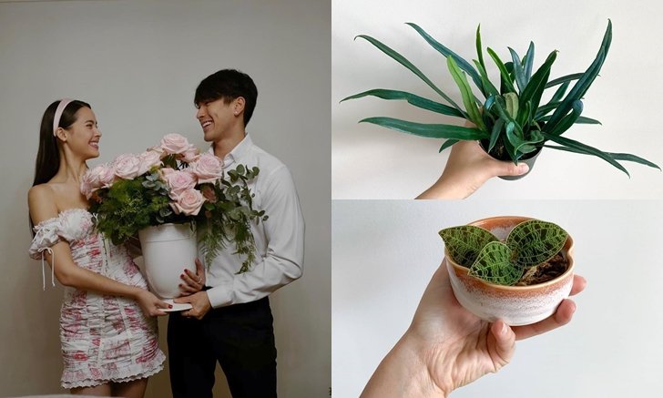 โลกสีชมพูแซมเขียว “ญาญ่า” เปิดไอจี “yayasplants” รวมภาพต้นไม้ของญาญ่า และณเดชน์