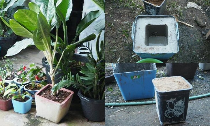 DIY "กระถางปูนเปลือย" สำหรับตกแต่งสวน สร้างความสวยงามให้มุมโปรดของคุณ