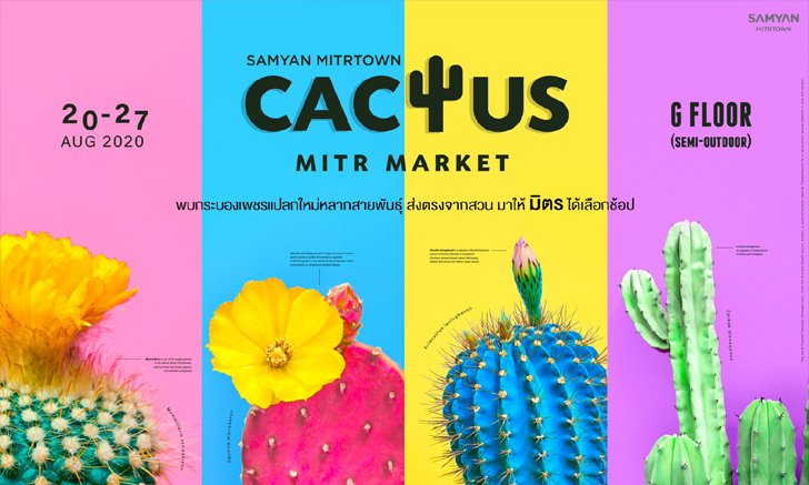 สามย่านมิตรทาวน์ จัดงาน “CACTUS MITR MARKET” ชวนสายกรีนช้อปแคคตัสสุดน่ารัก