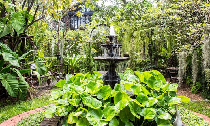 Tropical Garden เคล็ดลับการจัดสวนเมืองร้อนให้สวยเป็นธรรมชาติ
