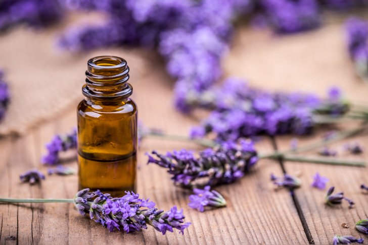 How to use lavender Home decoration to enhance feng shui energy AHR0cHM6Ly9zLmlzYW5vb2suY29tL2htLzAvdWQvNS8yNzM0MS9pc3RvY2stNTg1MDQ4MzI2LmpwZw==