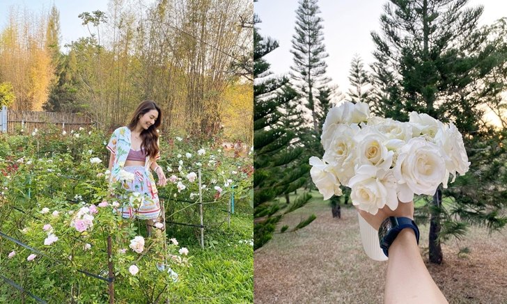 ช่อกุหลาบดูเล็กไปเลย ชม "สวนกุหลาบ" แห่งความรัก ที่เขาใหญ่ของ "มิว นิษฐา"