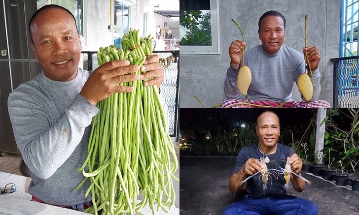 ครัวโลก ? “ไมค์ ภิรมย์พร” มัดถั่วฝักยาว เก็บมะม่วง หากุ้ง ครบถ้วนที่สวนตัวเอง