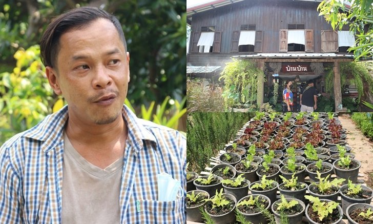 หนุ่มเมืองสองแควประยุกต์บ้านเก่าของบรรพบุรุษเปิดเป็นสวนผักคาเฟ่ สำหรับคนรักธรรมชาติ