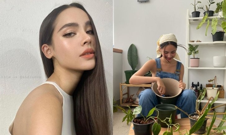 รู้จักต้นไม้ที่ “ญาญ่า” ถ่ายรูปด้วยล่าสุด เตรียมปรับราคาขึ้นได้