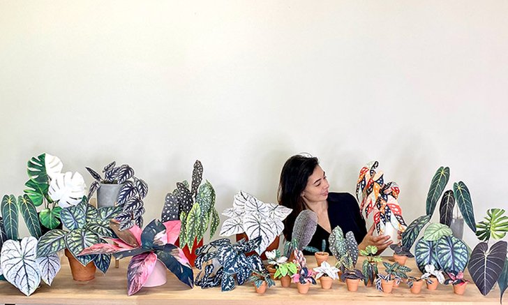 Paper Plants ต้นไม้กระดาษแต่งห้อง ไอเดียปลูกต้นไม้ของคนที่ปลูกยังไงก็ไม่รอดสักต้น
