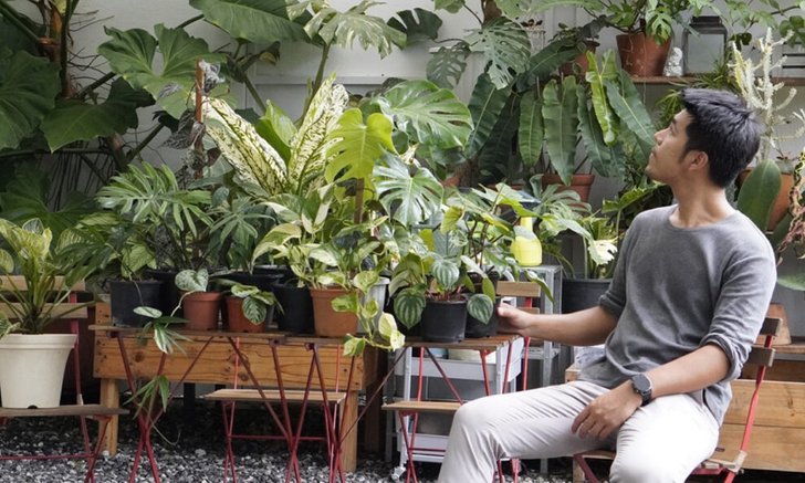 ผู้ชายเลี้ยงต้นไม้ที่หลงใหลในเสน่ห์ของ House Plant
