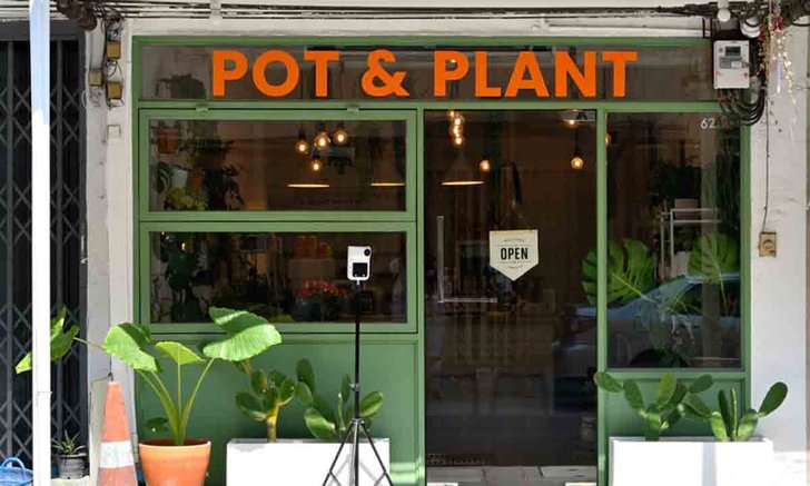 Pot & Plant คาเฟ่ต้นไม้ฟอกอากาศที่ขายทั้งต้นไม้และเสิร์ฟน้ำเก๋ๆ บนถนนนราธิวาส
