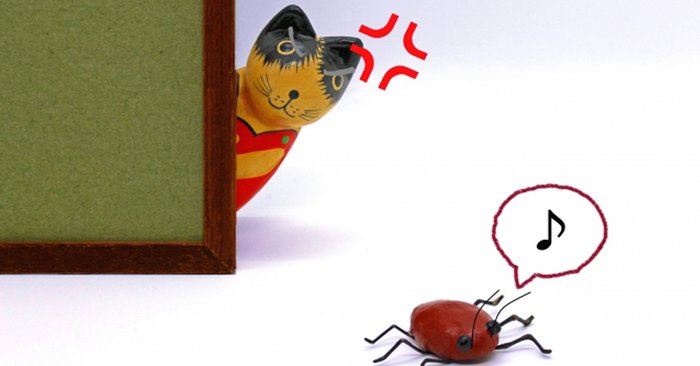 มาดูกันว่าแมลงสาบศัตรูตัวร้ายของคนญี่ปุ่นชอบและเกลียดอะไรบ้าง