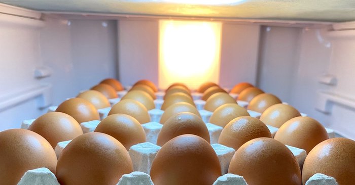 วิธีเก็บรักษาไข่ ยืดอายุให้ทานได้นานขึ้น