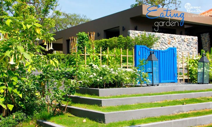 Eating Garden สวน(ผัก)กินได้