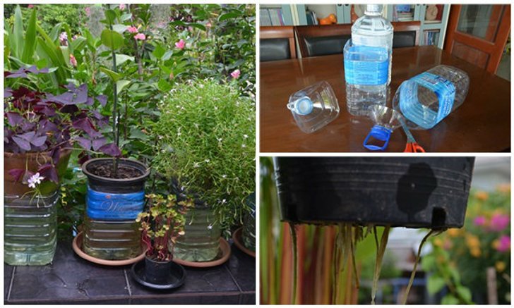 DIY ขวดน้ำช่วยชีวิต "ต้นไม้" เมื่อต้องหยุดยาวปีใหม่