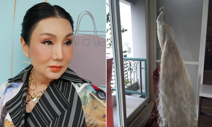 ฮวงจุ้ยเด็ด! "บ้านม้า อรนภา" ส่งเสริมชื่อเสียง และเป็นที่รักในวงการบันเทิง