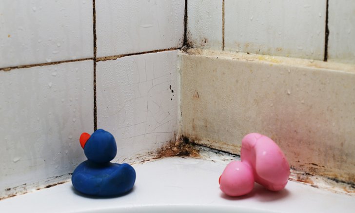 5 วิธีป้องกันเชื้อราในห้องน้ำ กำจัดง่ายๆ ทำซะ