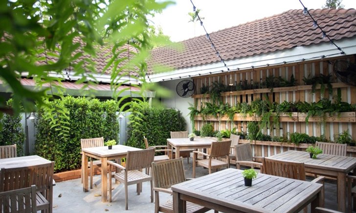 Green Tree ทำทุกพื้นที่ให้เป็นสีเขียว