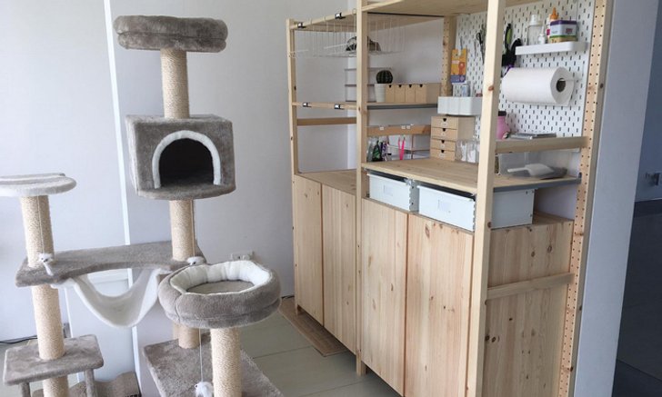 เนรมิต “ตู้ไม้เก่า” ให้กลายเป็น “Cat Station” ครบเครื่องเรื่องดูแลเหมียว