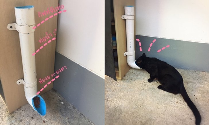 แชร์ไอเดีย DIY “ที่ให้อาหารแมว” เพื่อให้เหล่าทาสได้เที่ยวอย่างสบายใจ