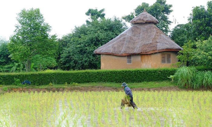 ไอเดียสร้างบ้านดิน บ้านเย็น ติดท้องทุ่งนา