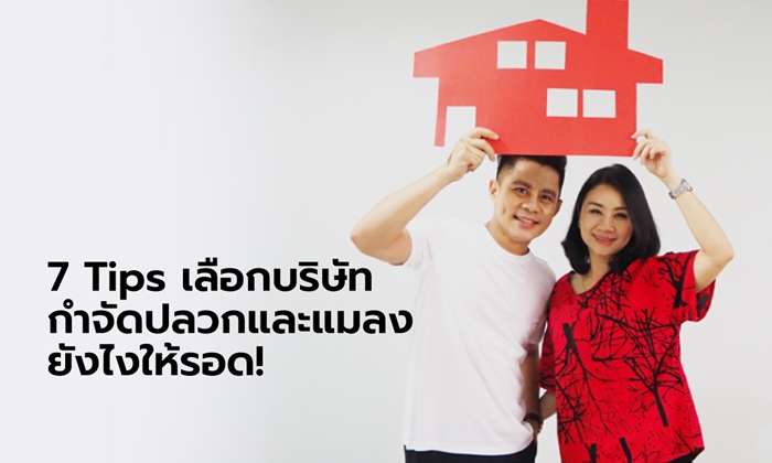 7 Tips เลือกบริษัทกำจัดปลวกและแมลงยังไงให้รอด!